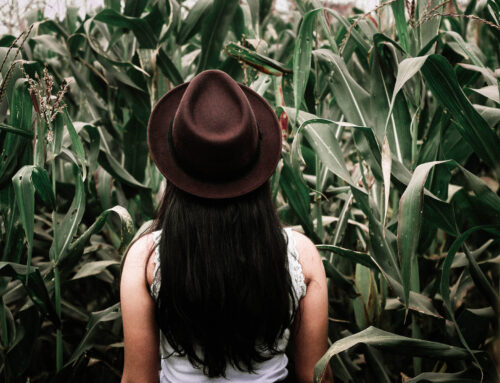 10 Ideas To Spice up Your Next Hiking Trip