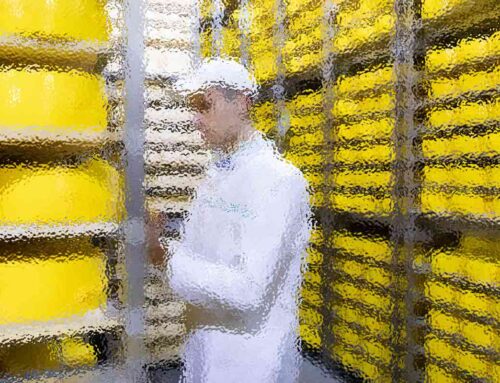 In-Depth Analysis of Emerging Trends Transforming Industries
